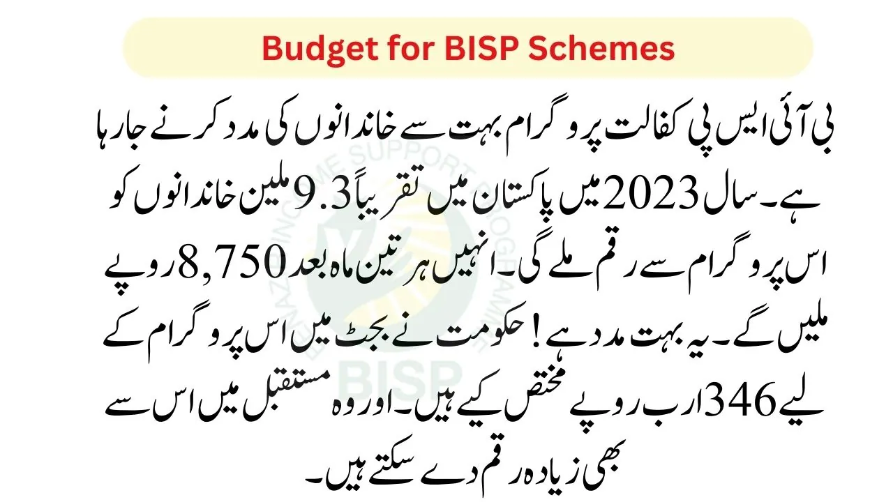 Budget for BISP Schemes