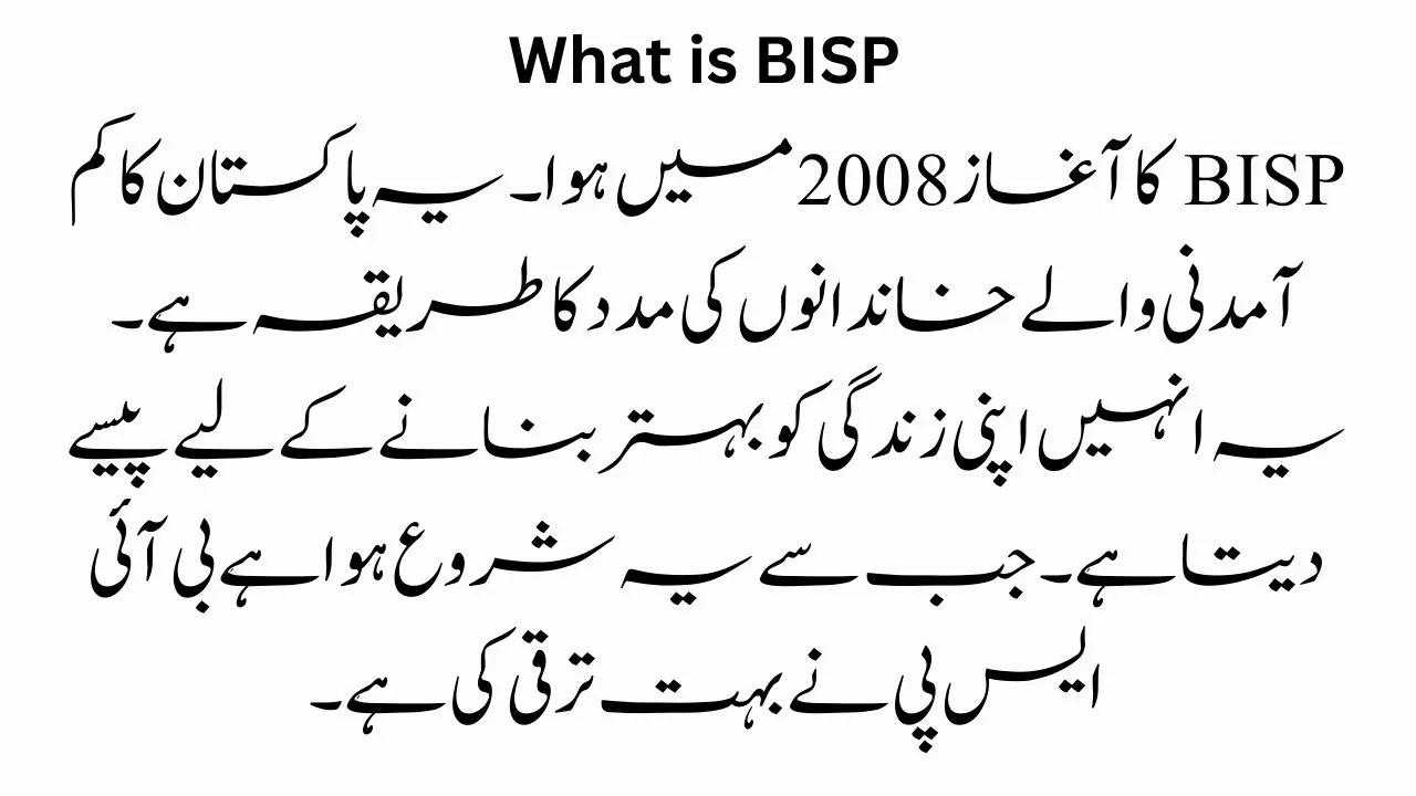 What is BISP